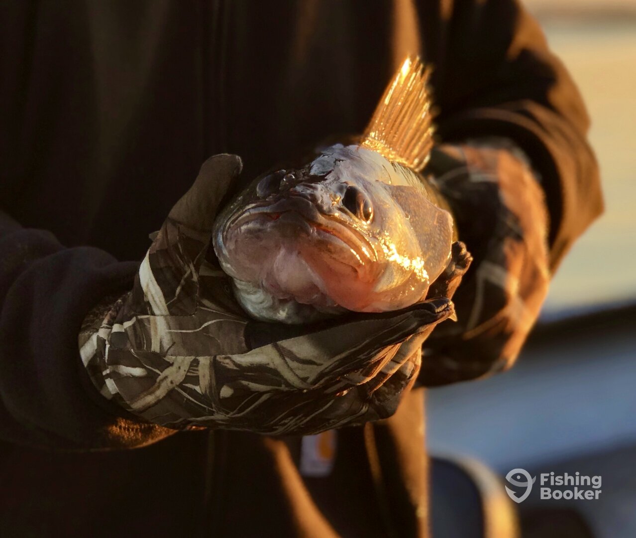 Burbank Report Photo 0