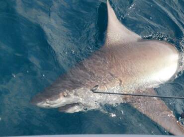 After this Global crisis is over please 