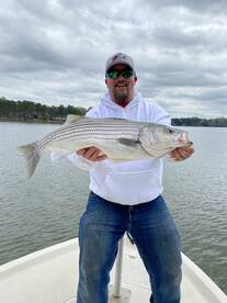 Cumming Report Photo 2