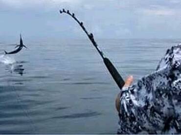 Manzanillo Report Photo 1