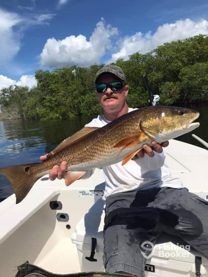 Port Charlotte Report Photo 0