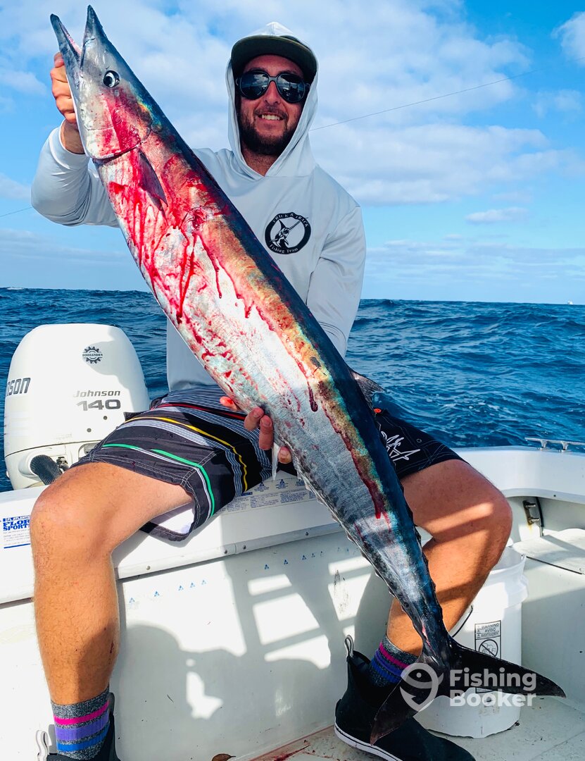 Dania Beach Report Photo 0