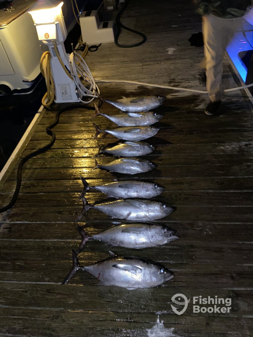 Wilmington Report Photo 0