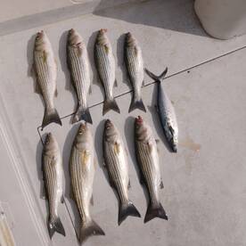 Maryland opening day for fishing !