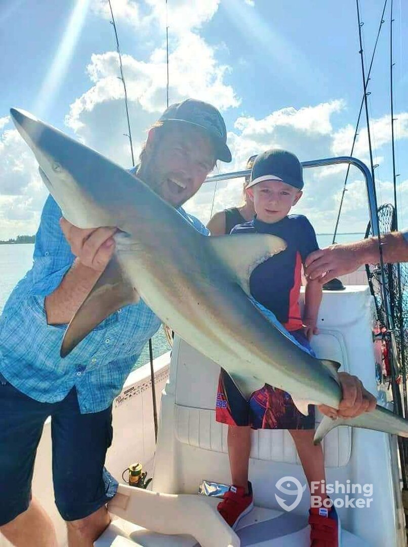 Sarasota Report Photo 0