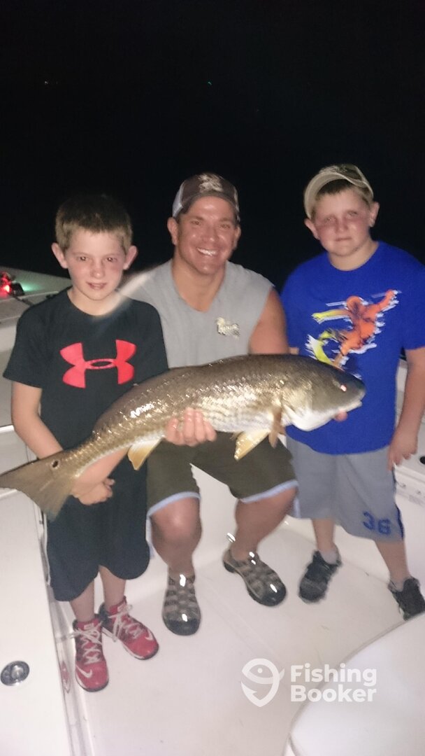 St. Petersburg Report Photo 0