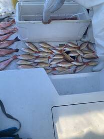 Great fishing better weather