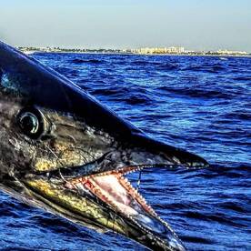 Spring time is the best time for fishing