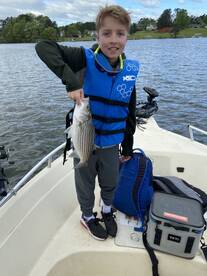 Cumming Report Photo 1