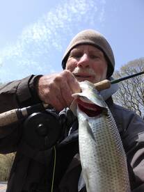 Getting back in the game!