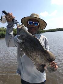 Chokoloskee Report Photo 2