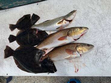 Jacksonville Report Photo 2