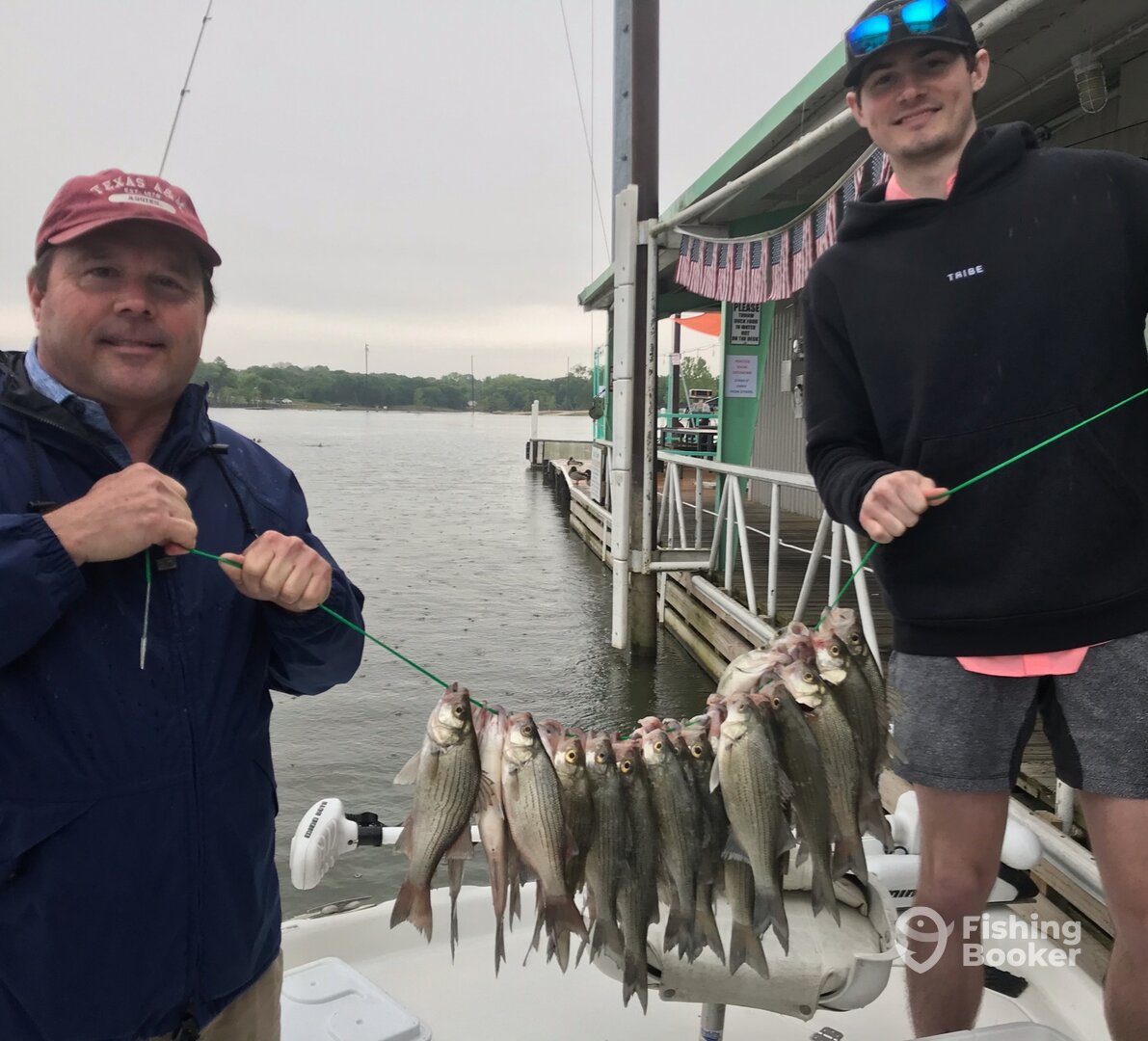 Grapevine Report Photo 0