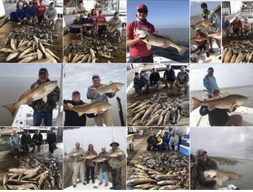 Venice Report Photo 2