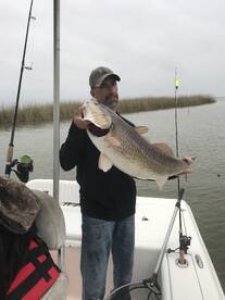 Venice Report Photo 1