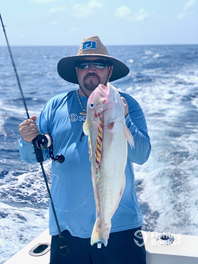 Dania Beach Report Photo 0