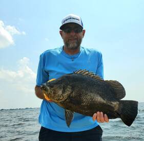 Cleaned up some Triple Tail and Hogfish 