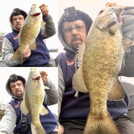 Harding Report Photo 2