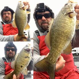 Harding Report Photo 1