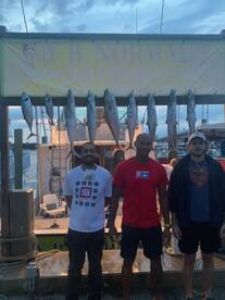 Dania Beach Report Photo 2