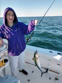 Wilmington Report Photo 2
