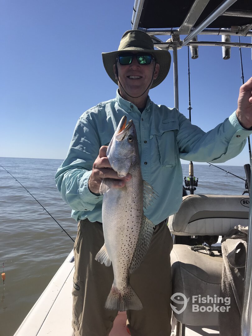 Venice Report Photo 0