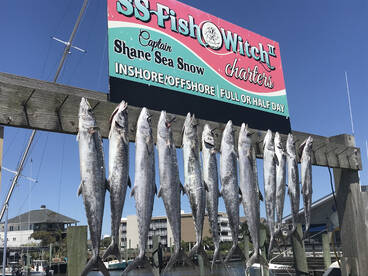 Carolina Beach Report Photo 1