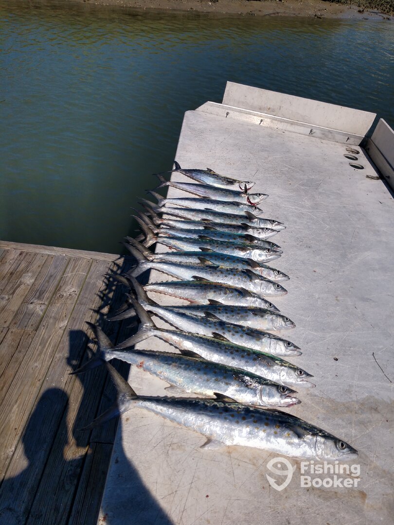 Wilmington Report Photo 0