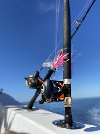 Cumming Report Photo 1