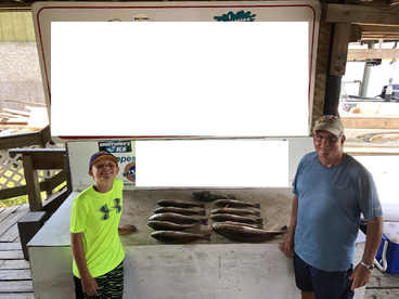 New Orleans Report Photo 2