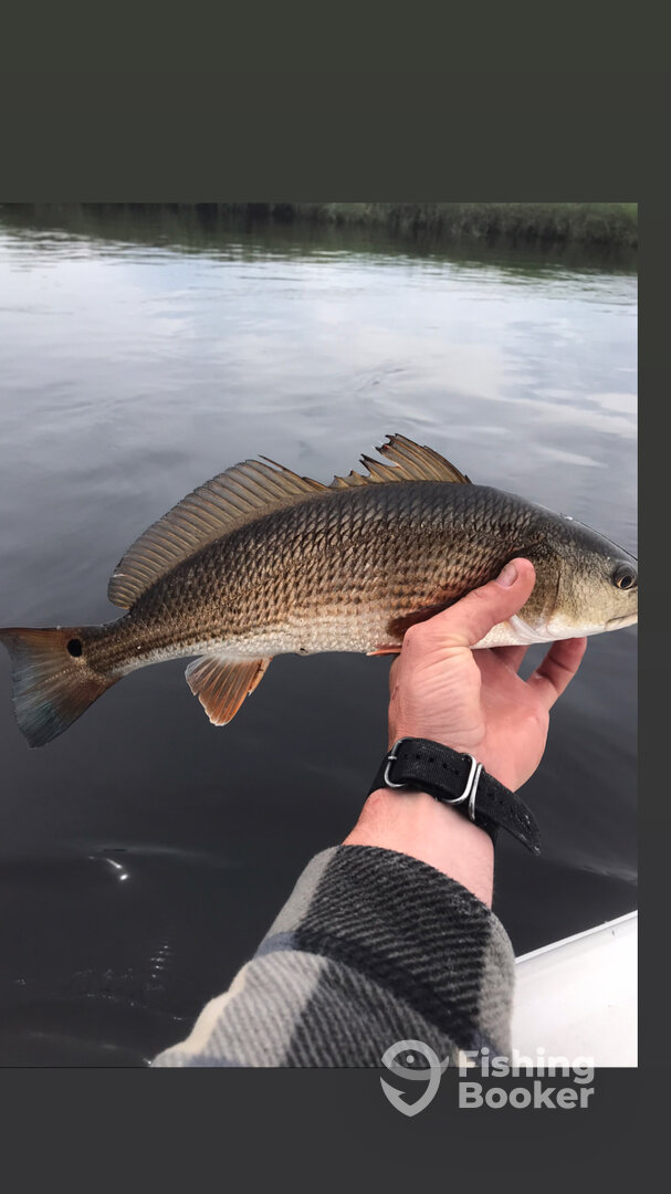 Little River Report Photo 0