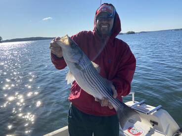 Cumming Report Photo 1