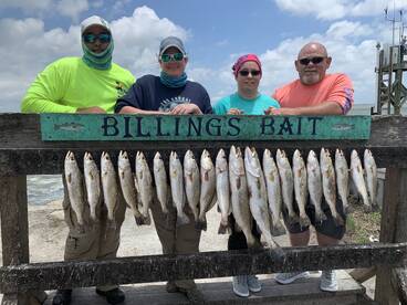 Corpus Christi Report Photo 2