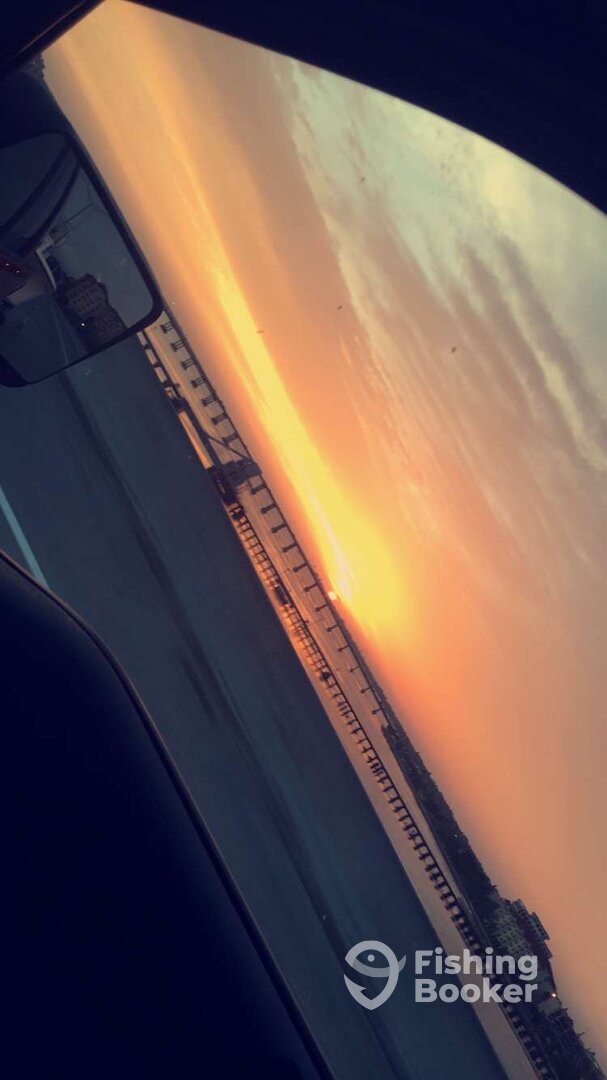 Sarasota Report Photo 0