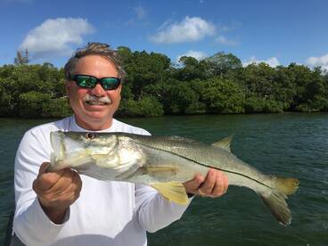 Sarasota Report Photo 1