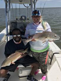 Venice Report Photo 2