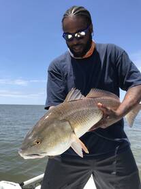 Venice Report Photo 1