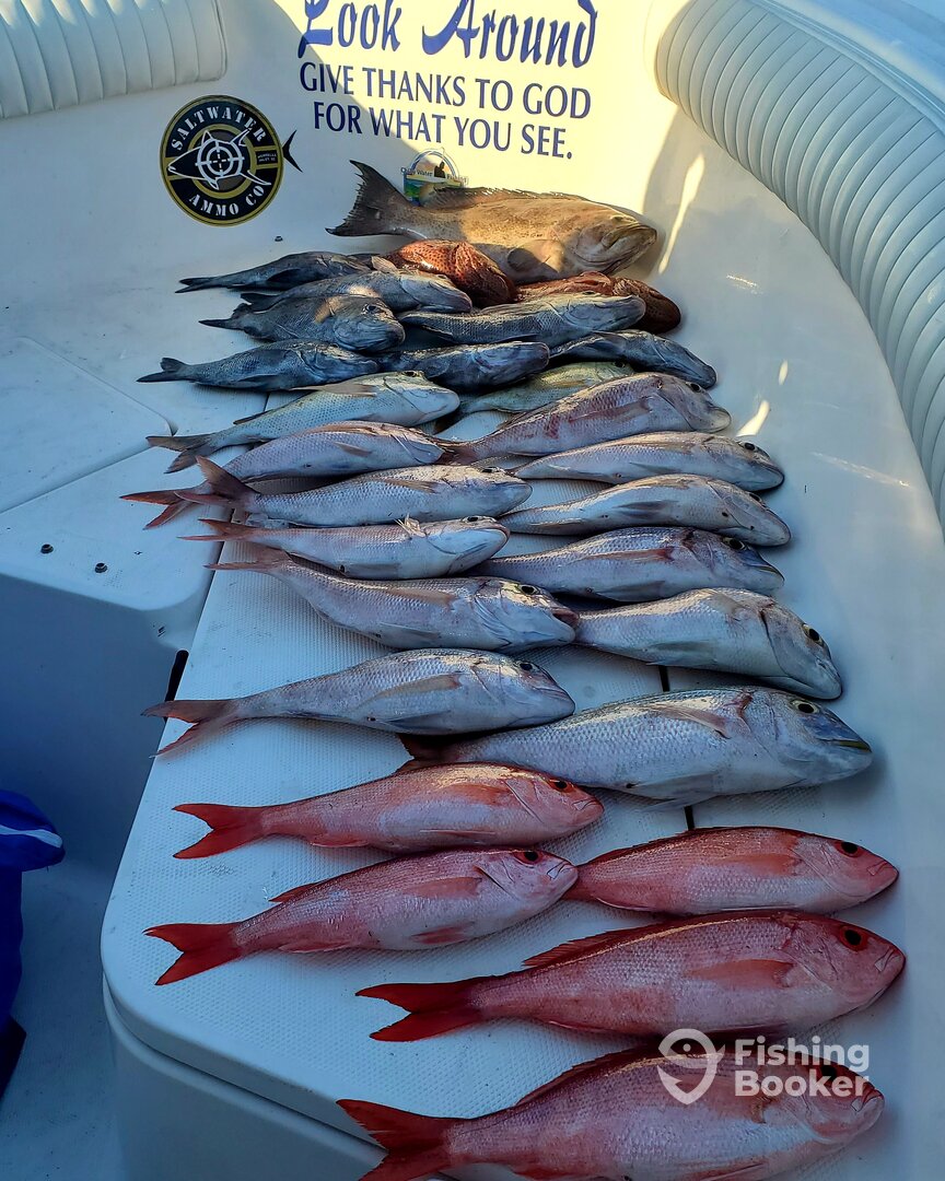 North Myrtle Beach Report Photo 0