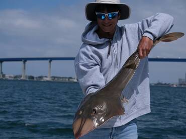 San Diego Report Photo 1