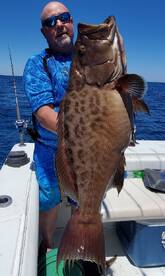 Grouper Season is here!