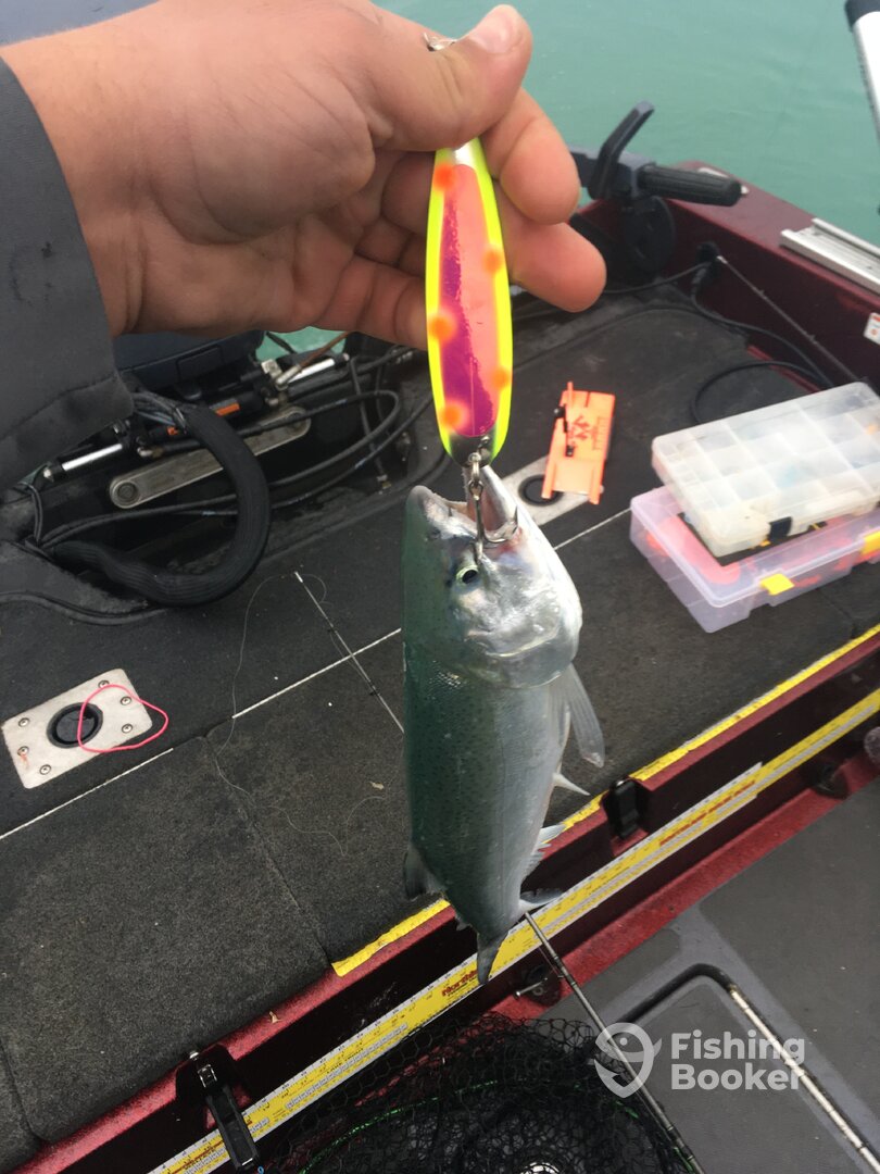 Oak Creek Report Photo 0