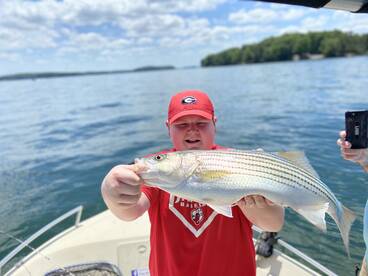 Cumming Report Photo 1