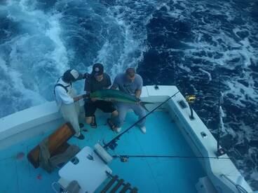 West Palm Beach Report Photo 1