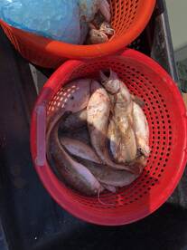 Point Pleasant Beach Report Photo 2