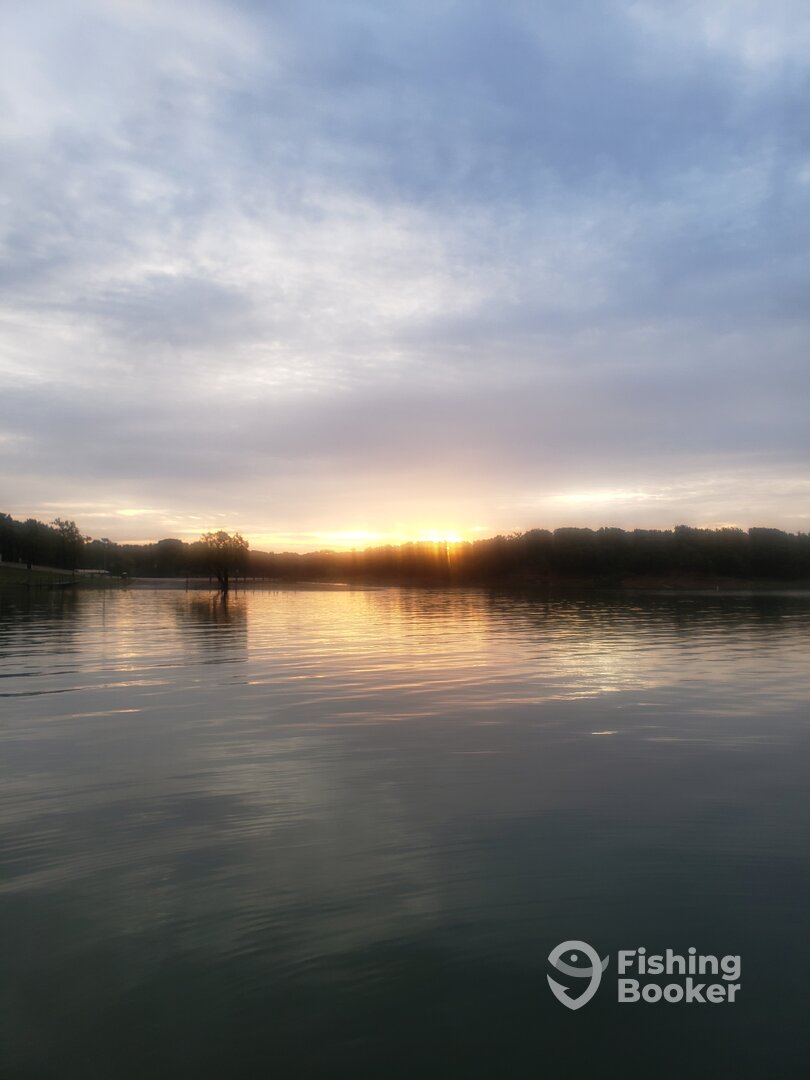 Lewisville Report Photo 0