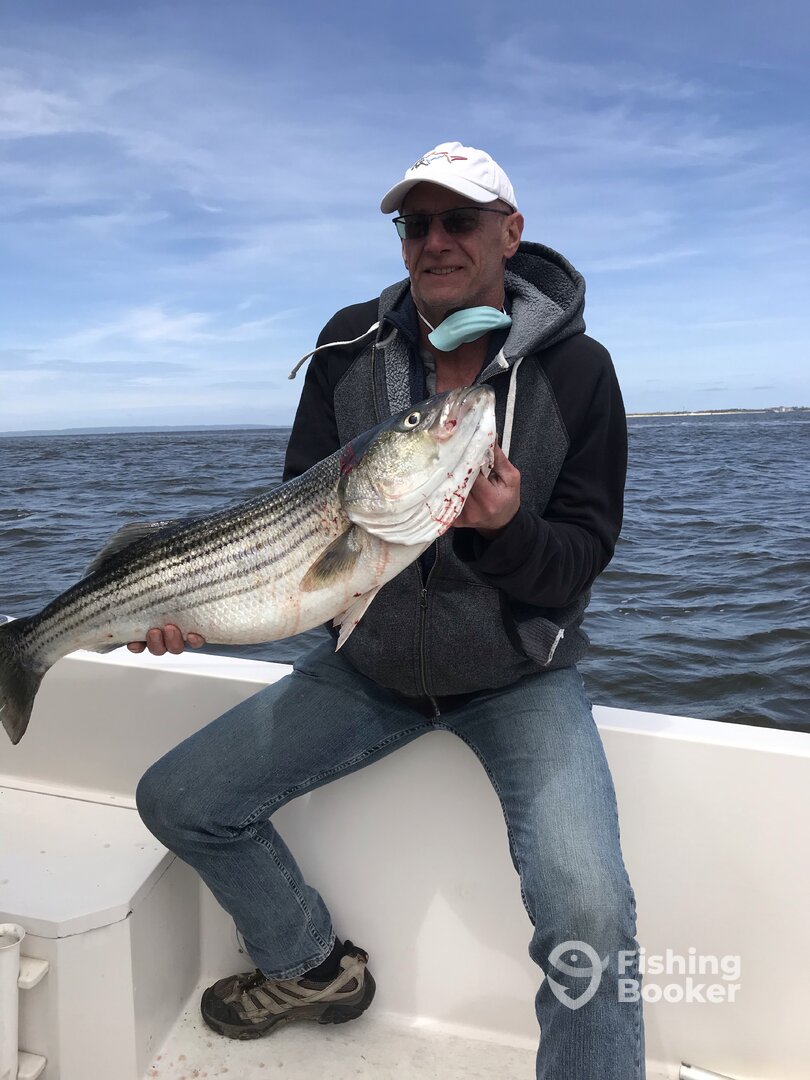 Highlands Report Photo 0