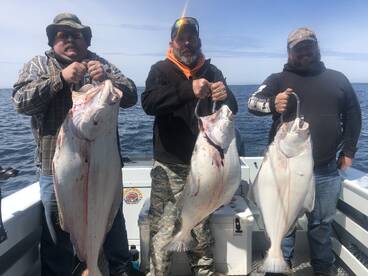 Coos Bay Report Photo 1