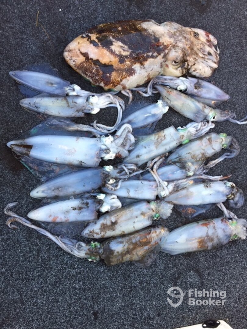 Melbourne Report Photo 0