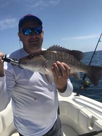 Belleair Bluffs Report Photo 2