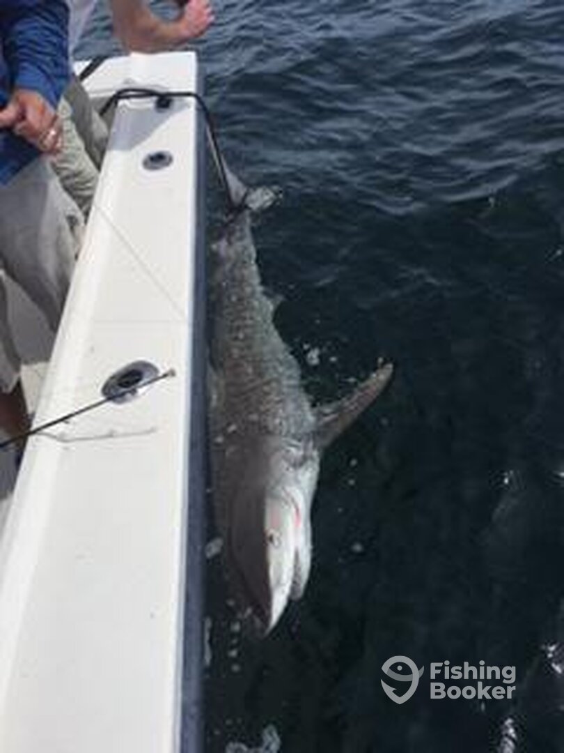 Naples Report Photo 0